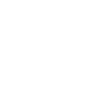 Event Home: SFJ Shopping Cart